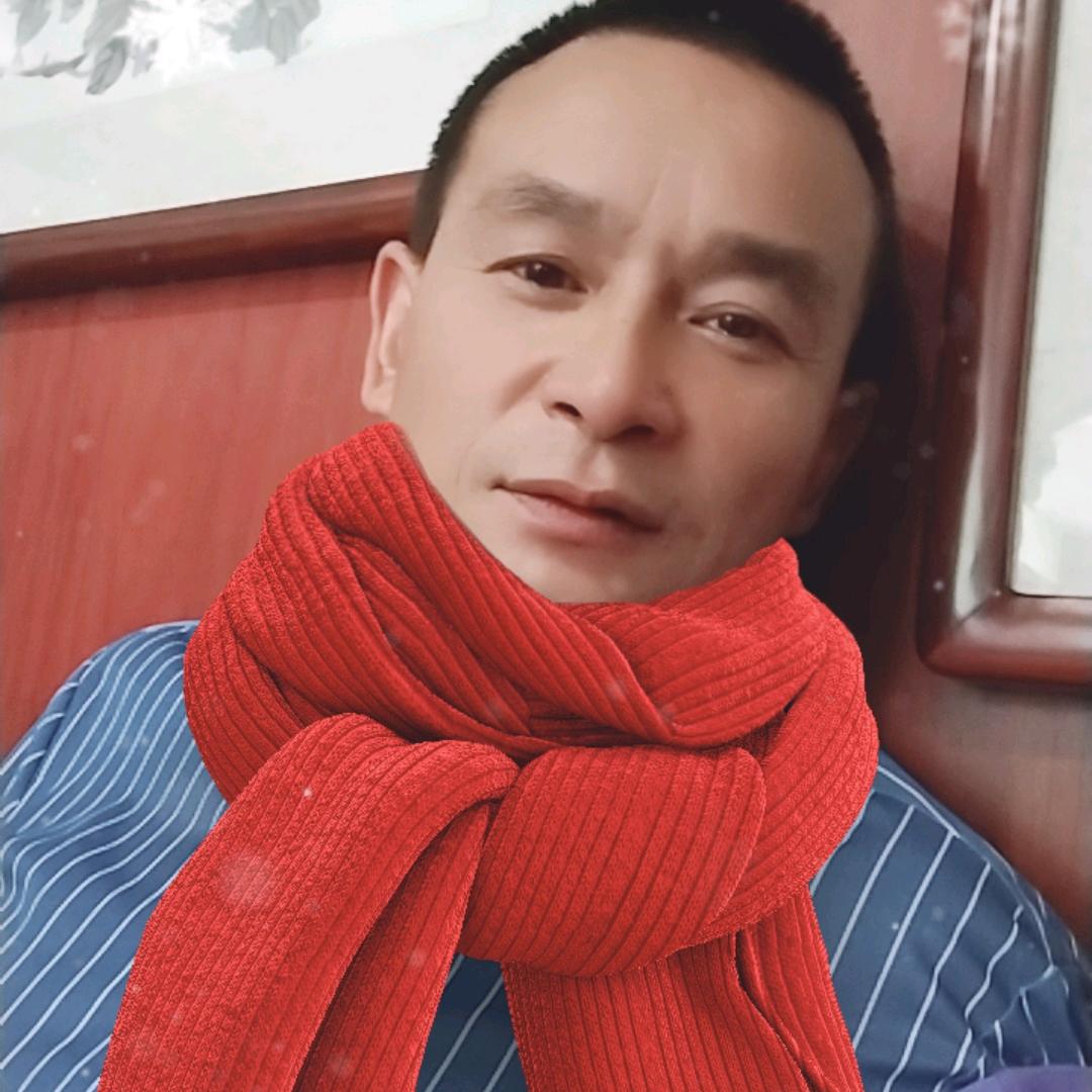 老杨
