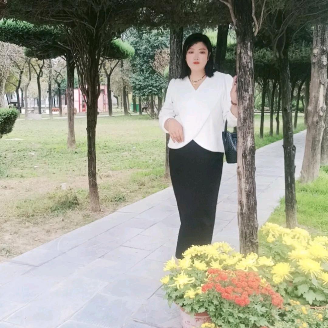 宋美人