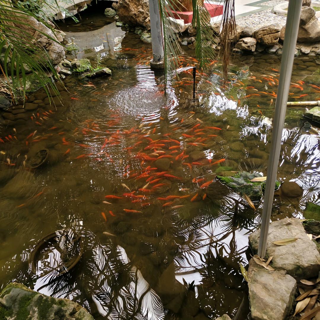日煜城张记肉夹馍
