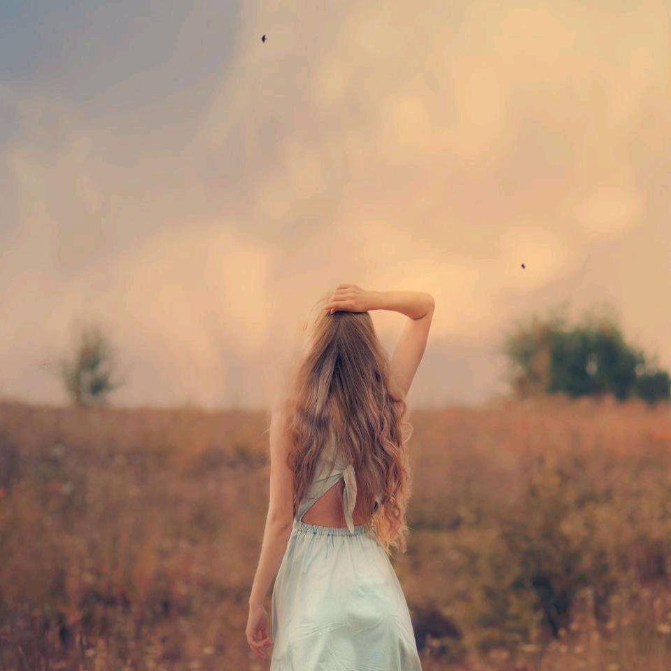 🌸雾里看花🌸