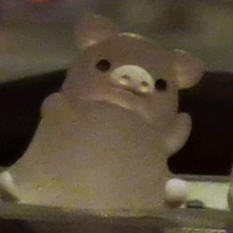 没有如果😡（联考版）