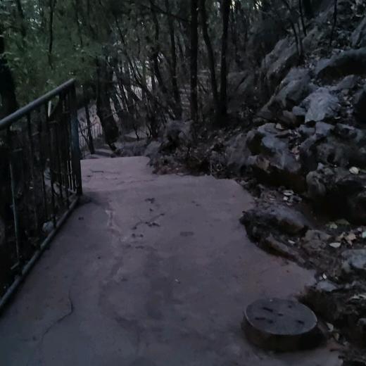 冰清玉洁的烤地瓜