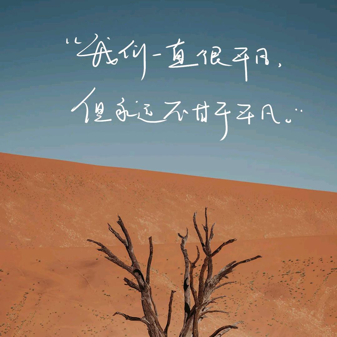 行走世间的哲思碎片