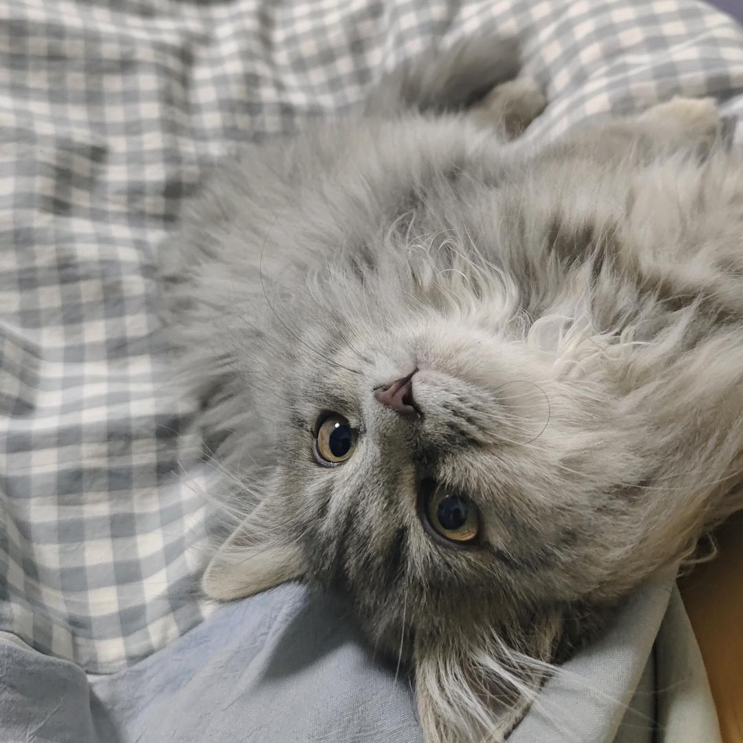 忧郁总裁兜不住💩被护工暴打