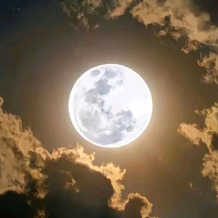 💞紫᭄ᩚ꯭℘风༄༊