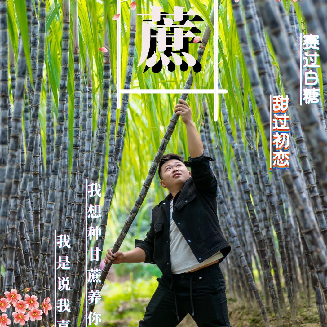 优质水果速达代办