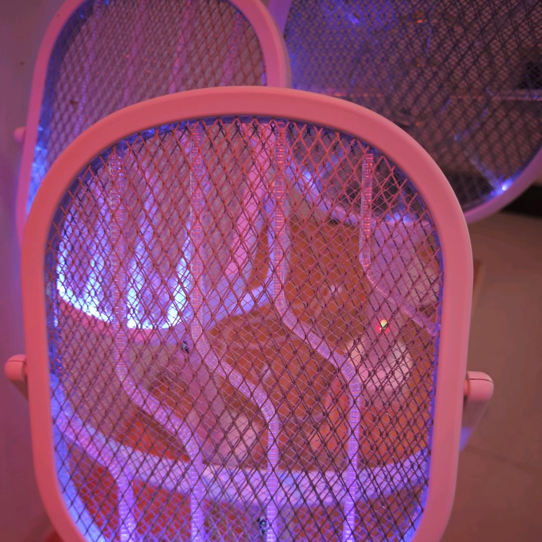 湖北红菜苔大王