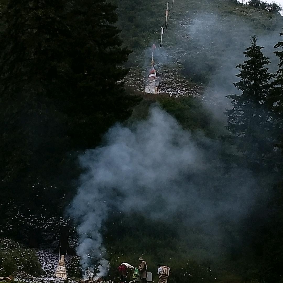 桑烟
