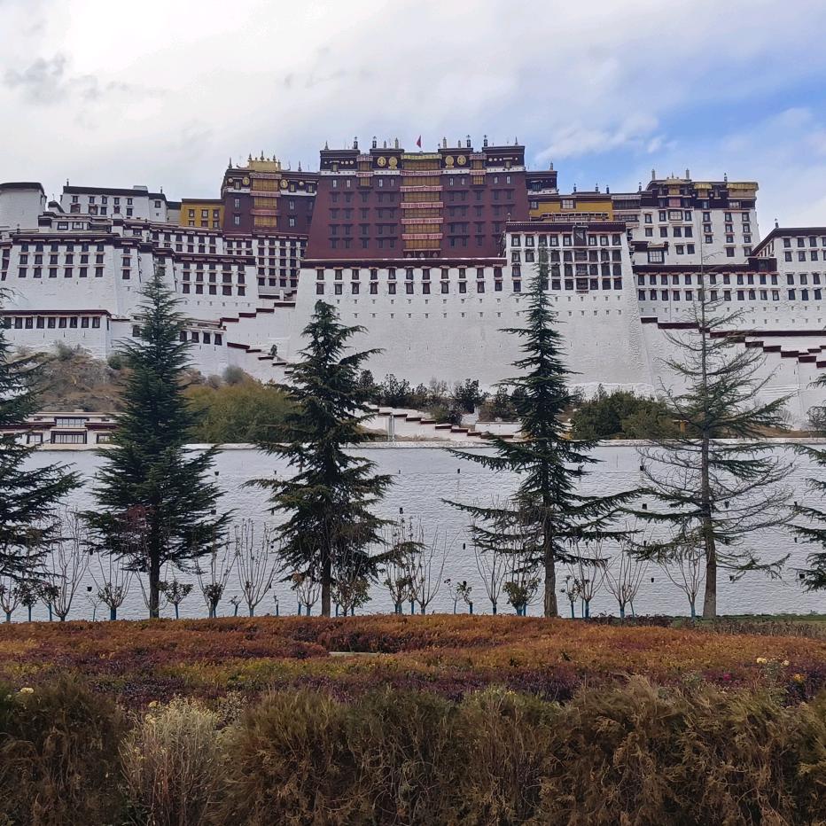 植物油灶具，家用小灶，植物油燃料