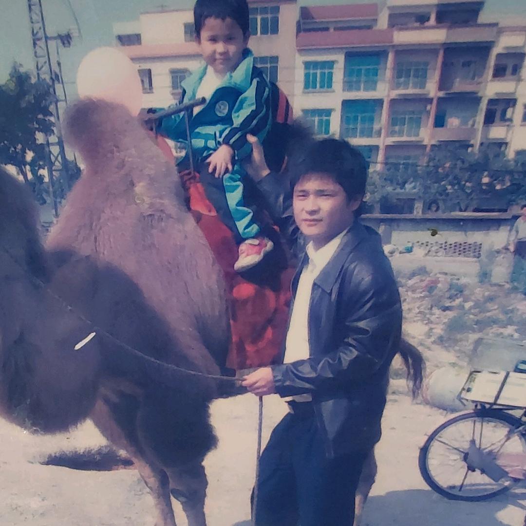 刘老三在青海种枸杞