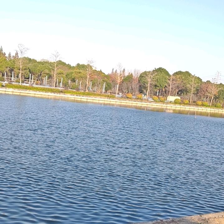 姚大 孤勇赴商海