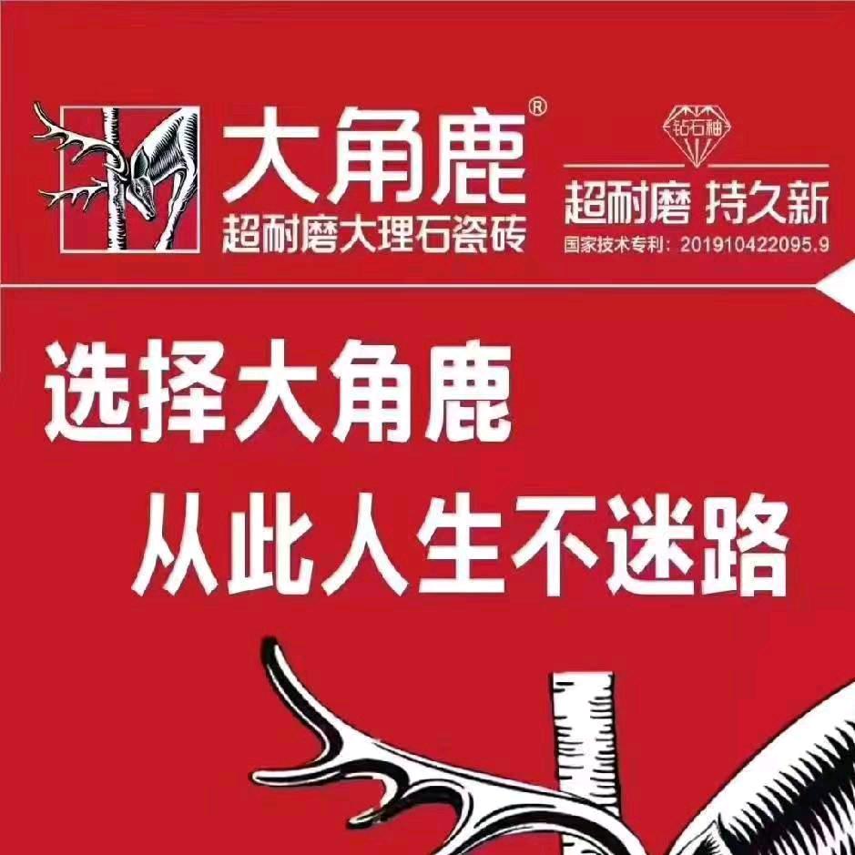 安顺大角鹿  邓砖家