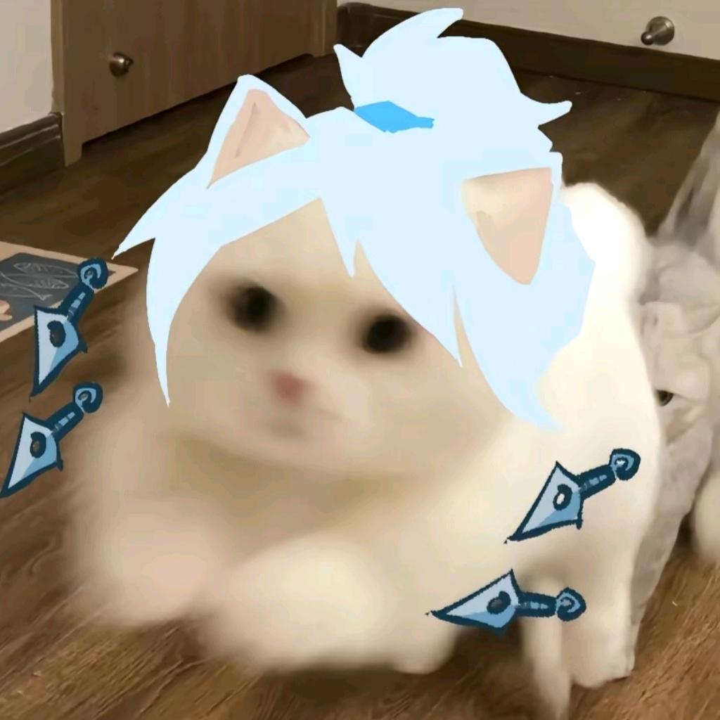 绯