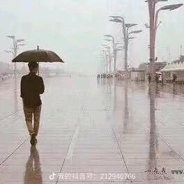 心在流浪