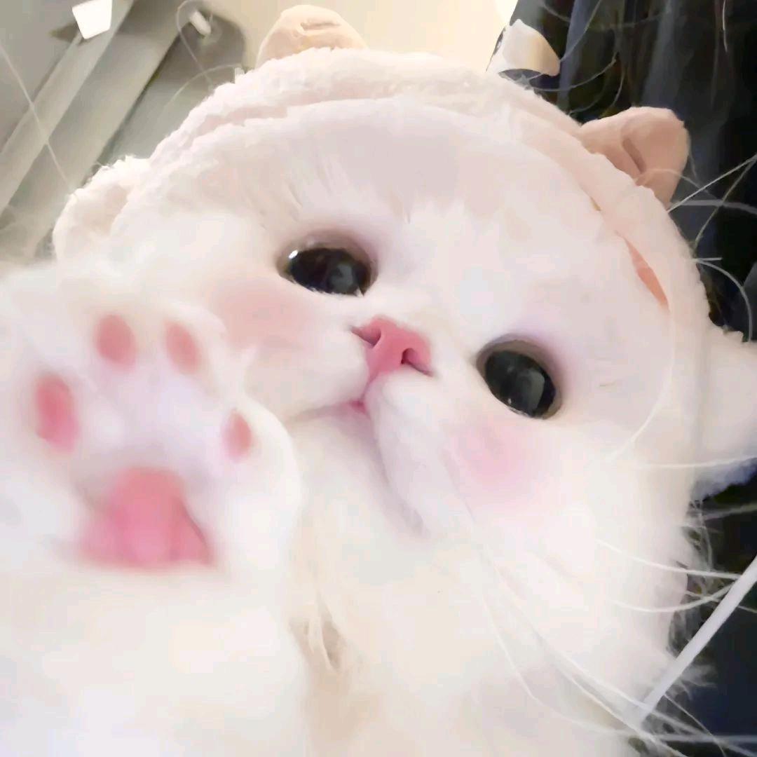 玥玥
