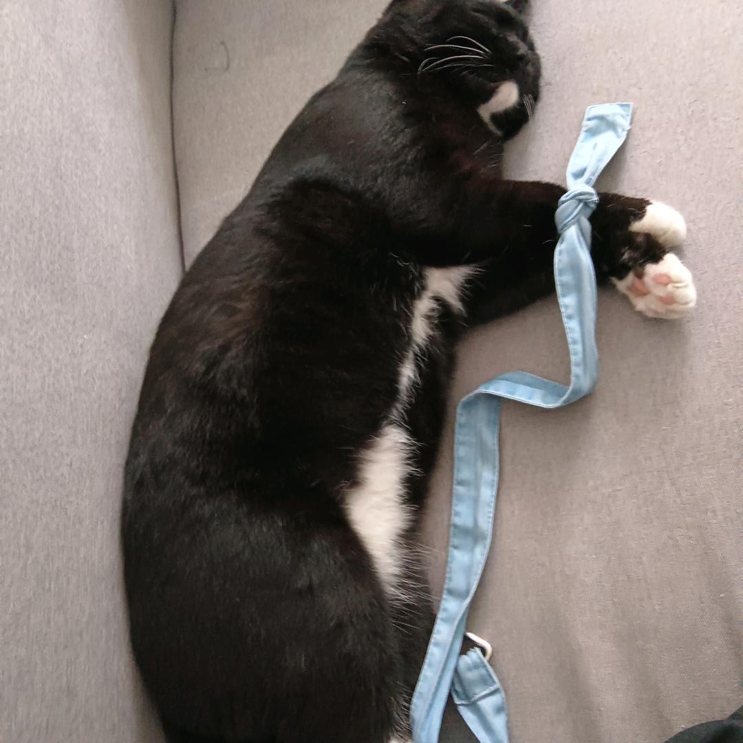 佛