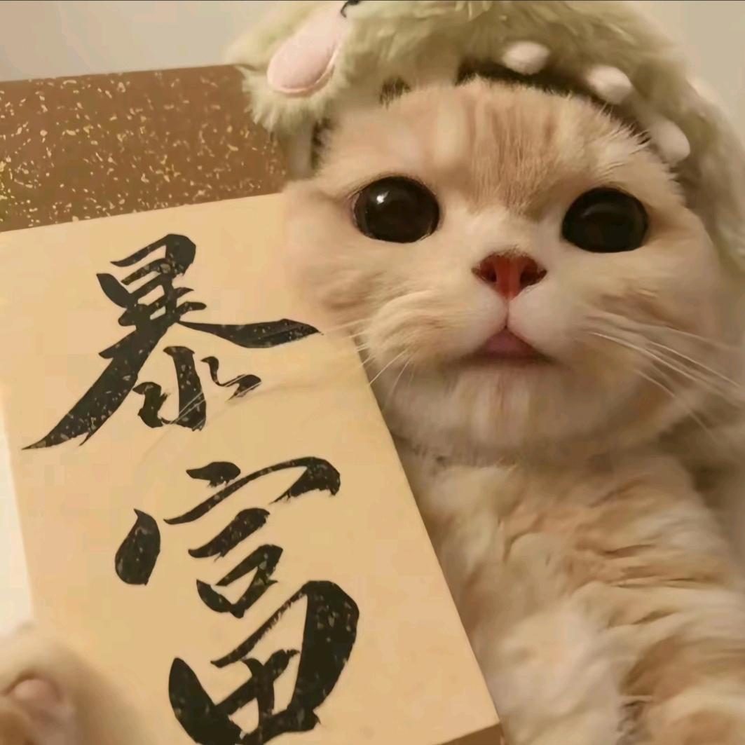小胖墩呀✨