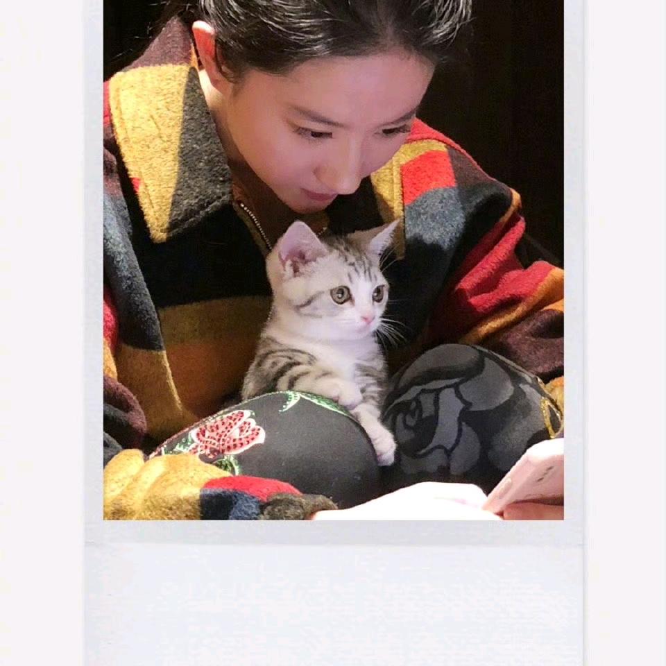 游逍遥