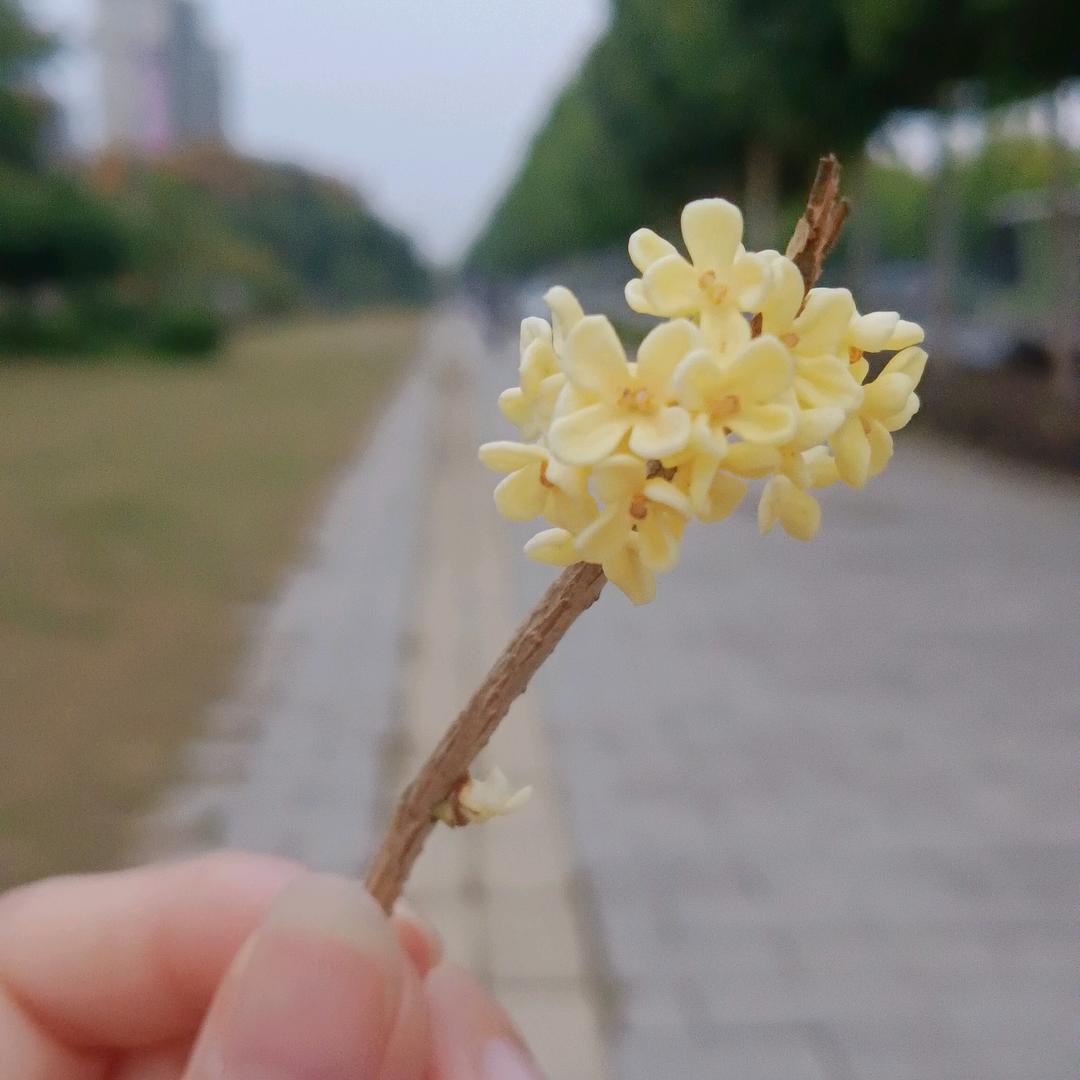 雨落心安（拒绝私聊）