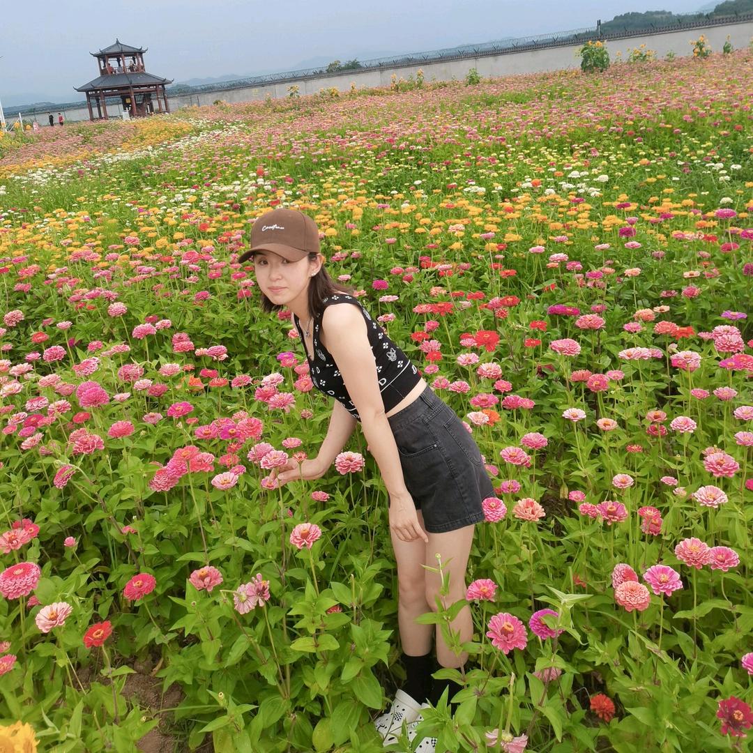 ✨✨✨明会