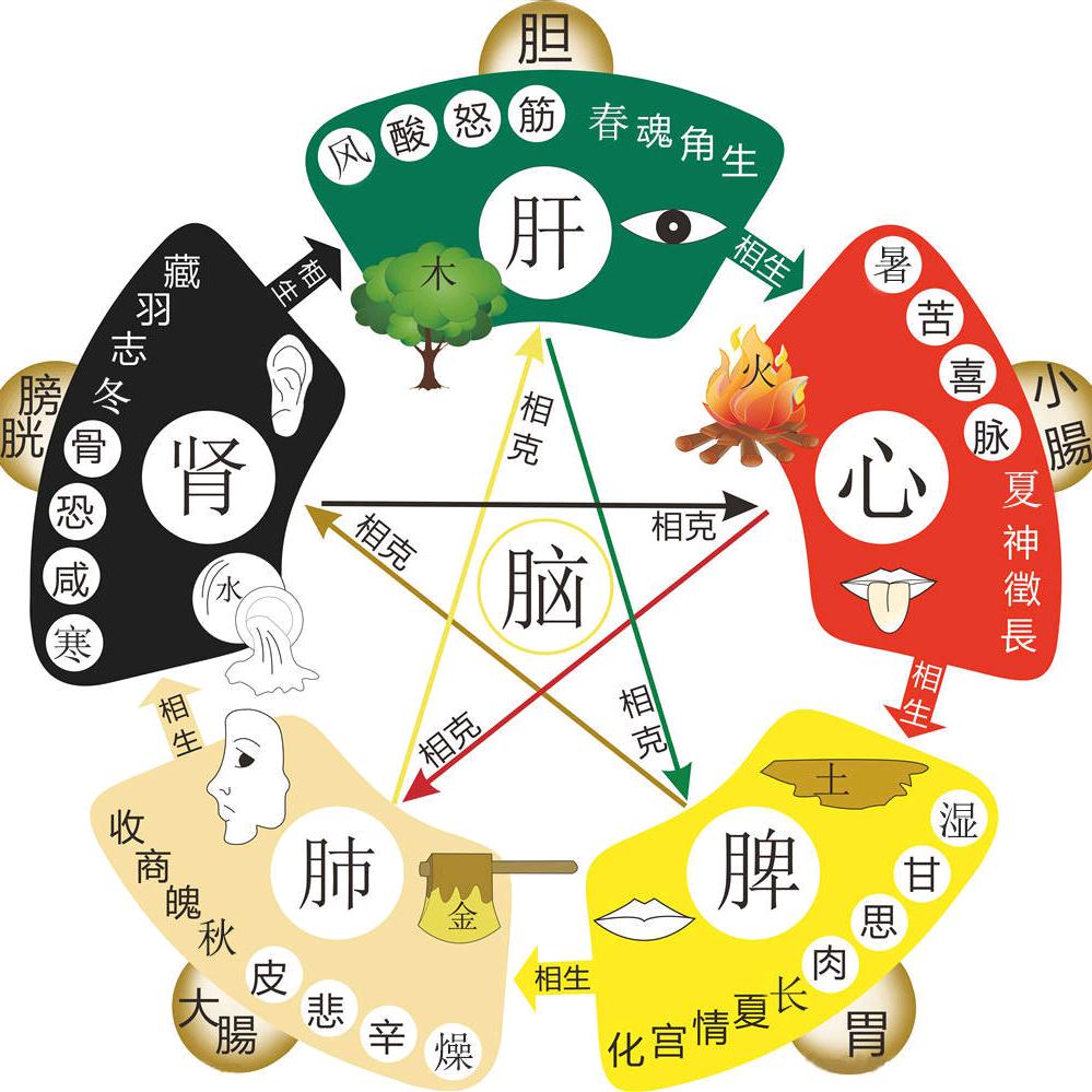 -汝州志辉儿童体质调理