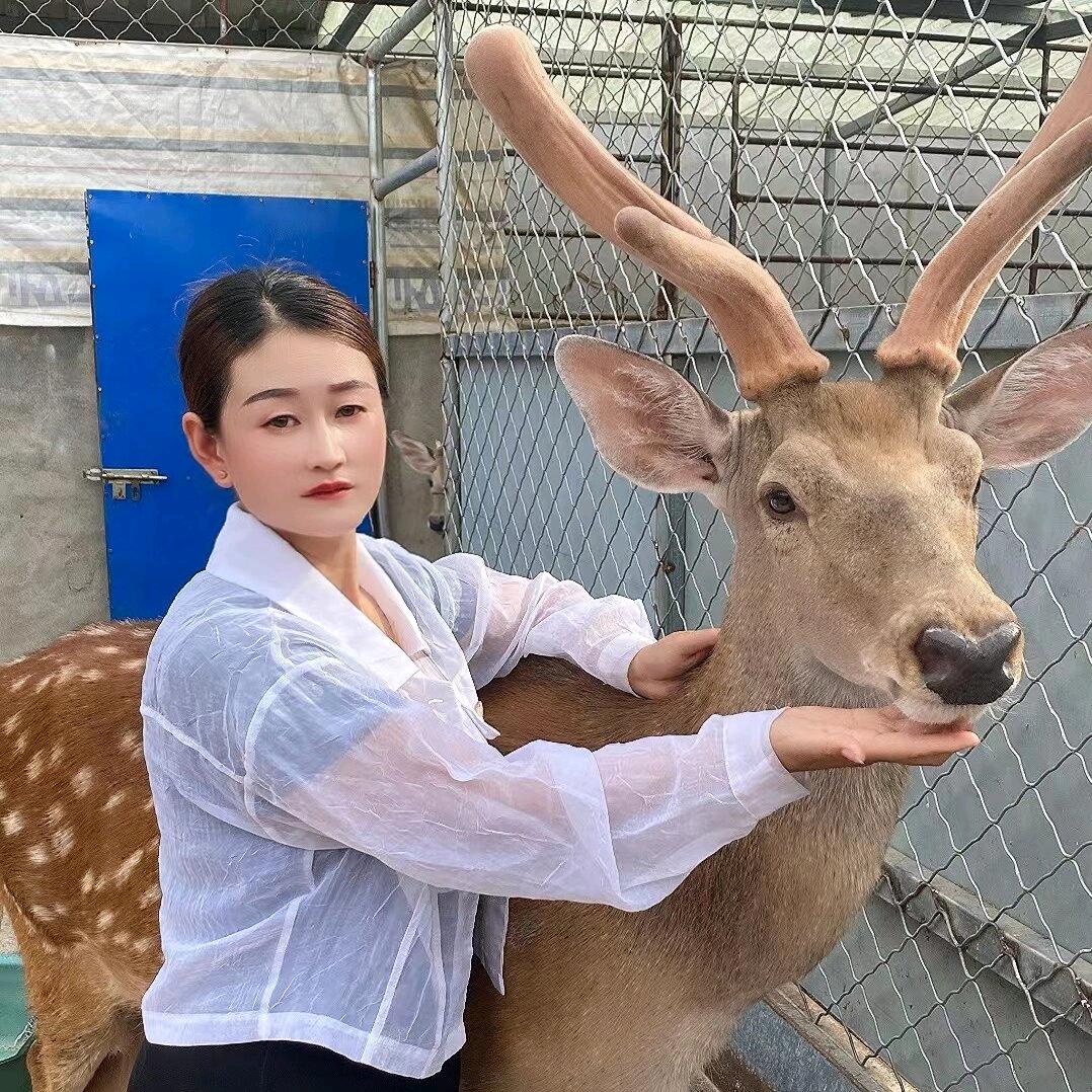 山东鑫博鹿业