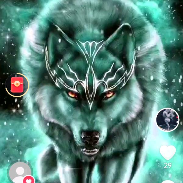 ，🐉🐉🐉龍翼🐉🐉🐉