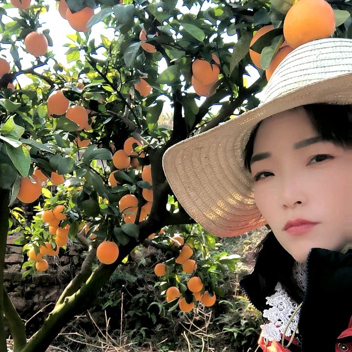 玉兰橙乐园鲜橙