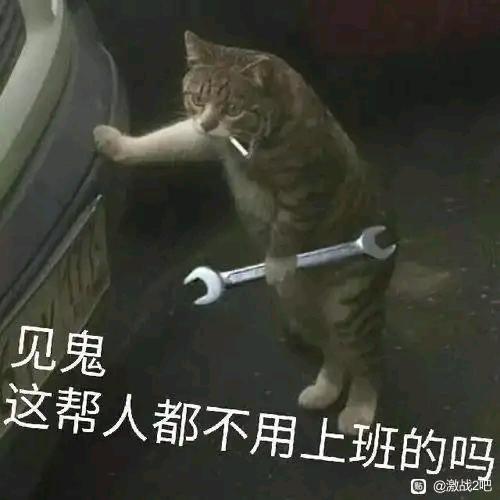 有鱼
