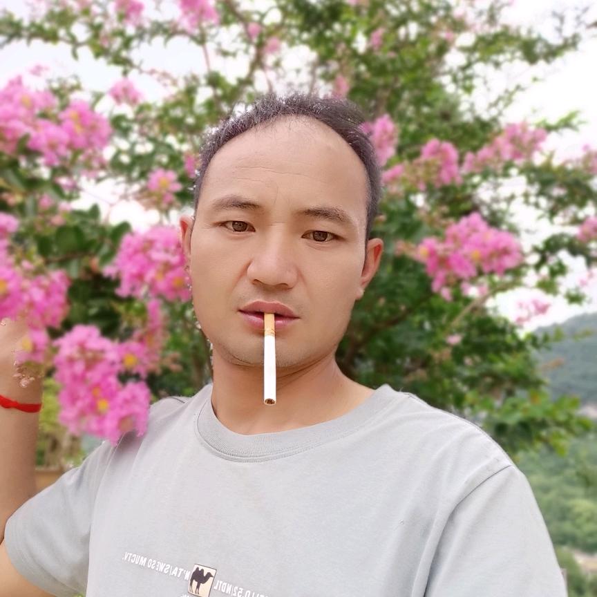 大方专业盆景，煤炭销售@
