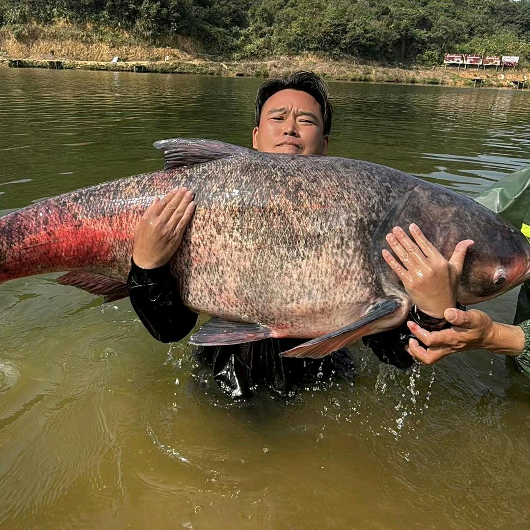 牛鼠峡钓鱼场