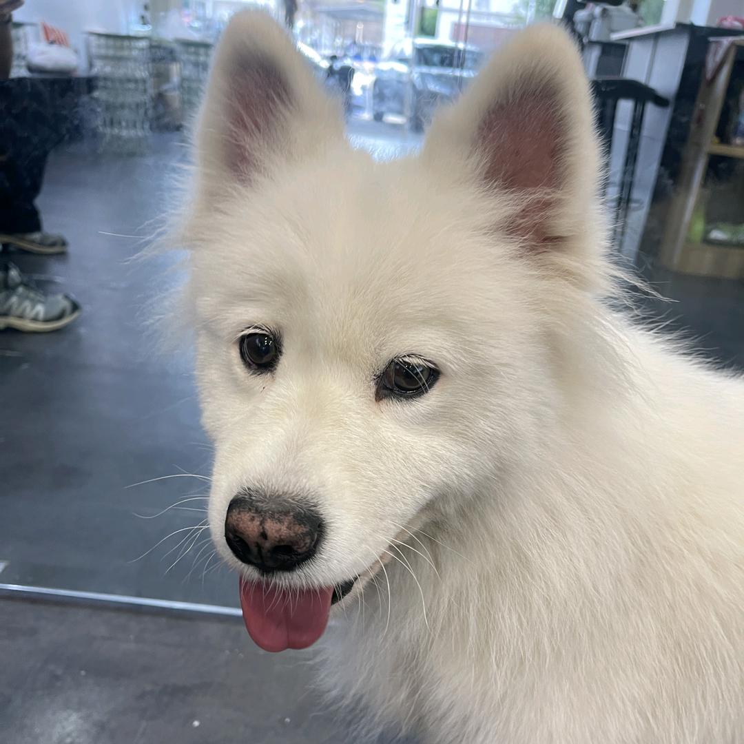 小王非常棒（0706~）