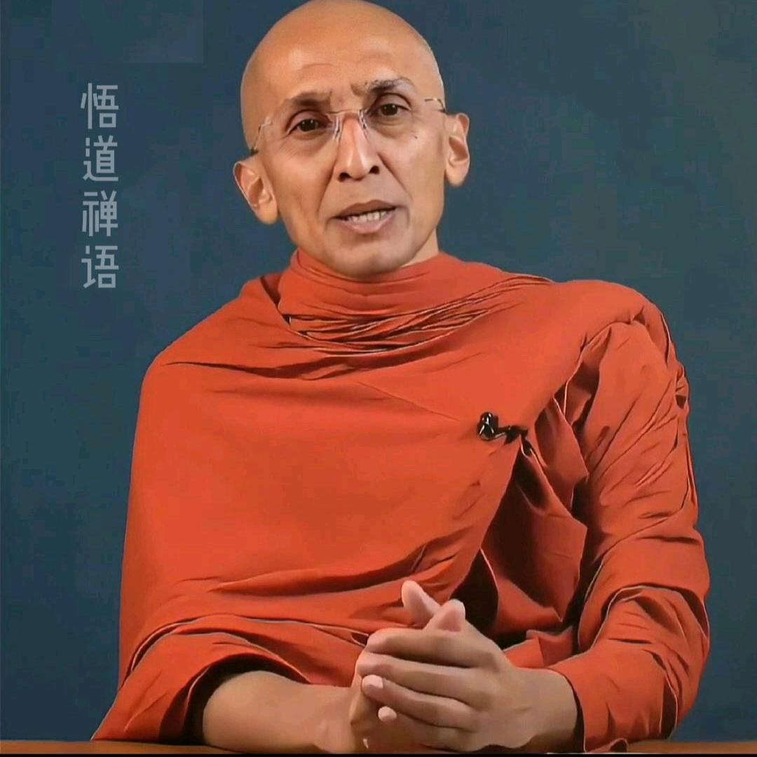 悟道禅语