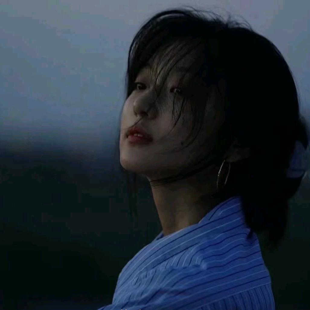 月桂书梦