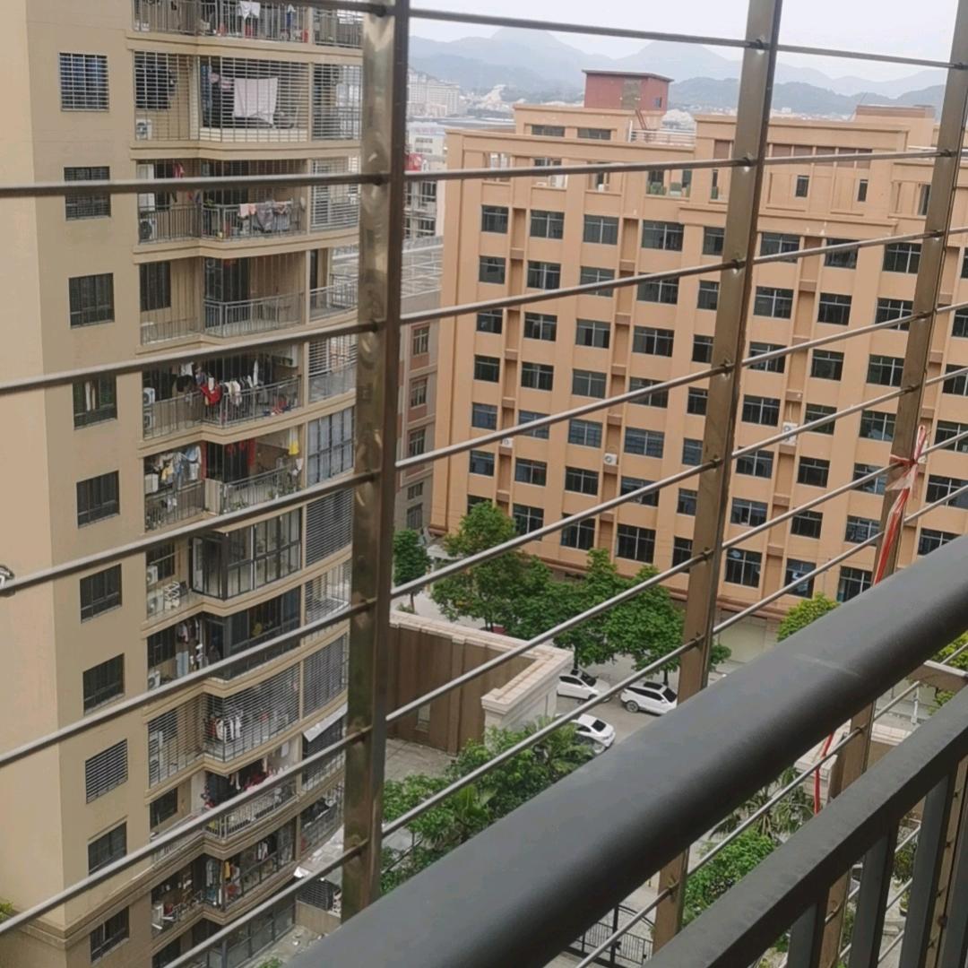 爱拼才会赢  ！