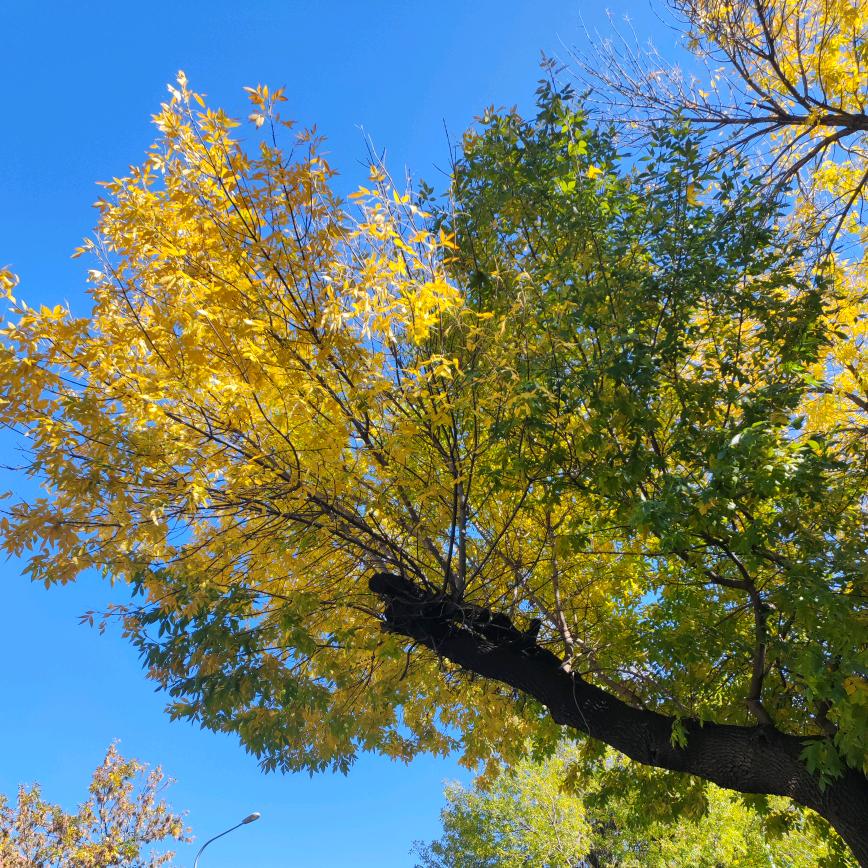 沐朗（拒绝私聊）