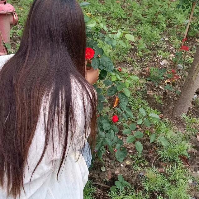 ❀~美💞ℒᎭ