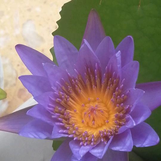 零度