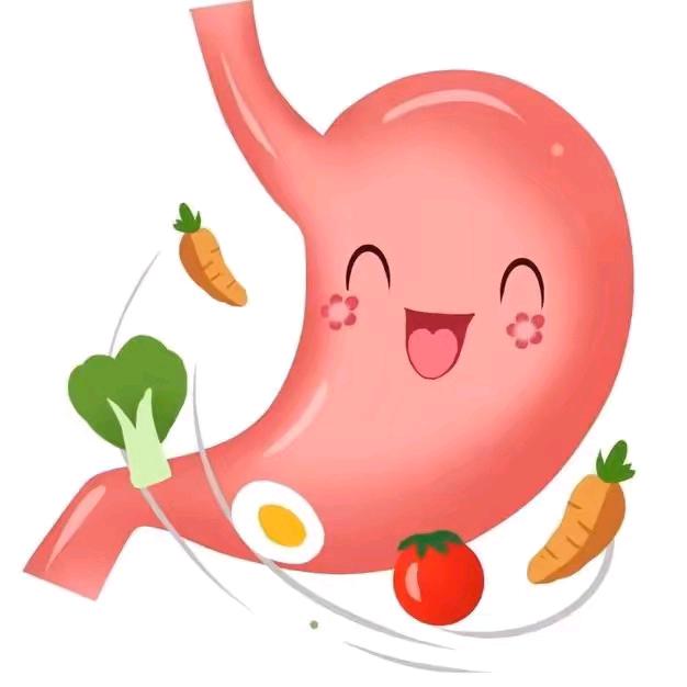 ye老师三餐@养胃