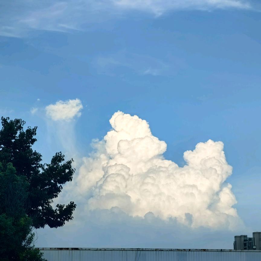 多财多亿◕‿◕