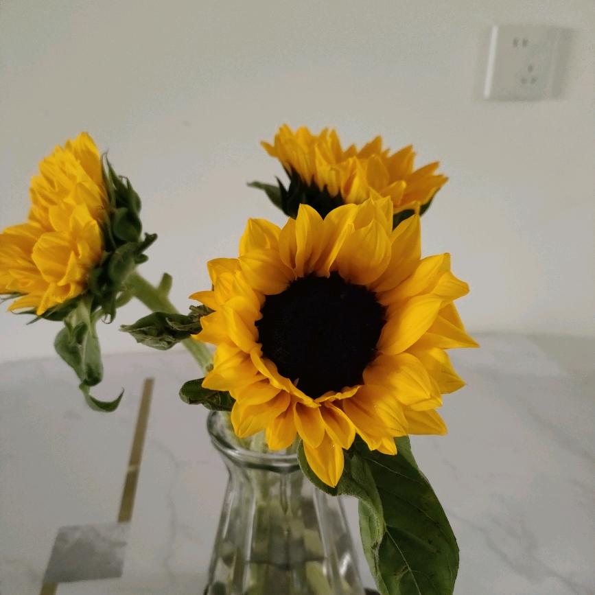 石家庄全屋定制88