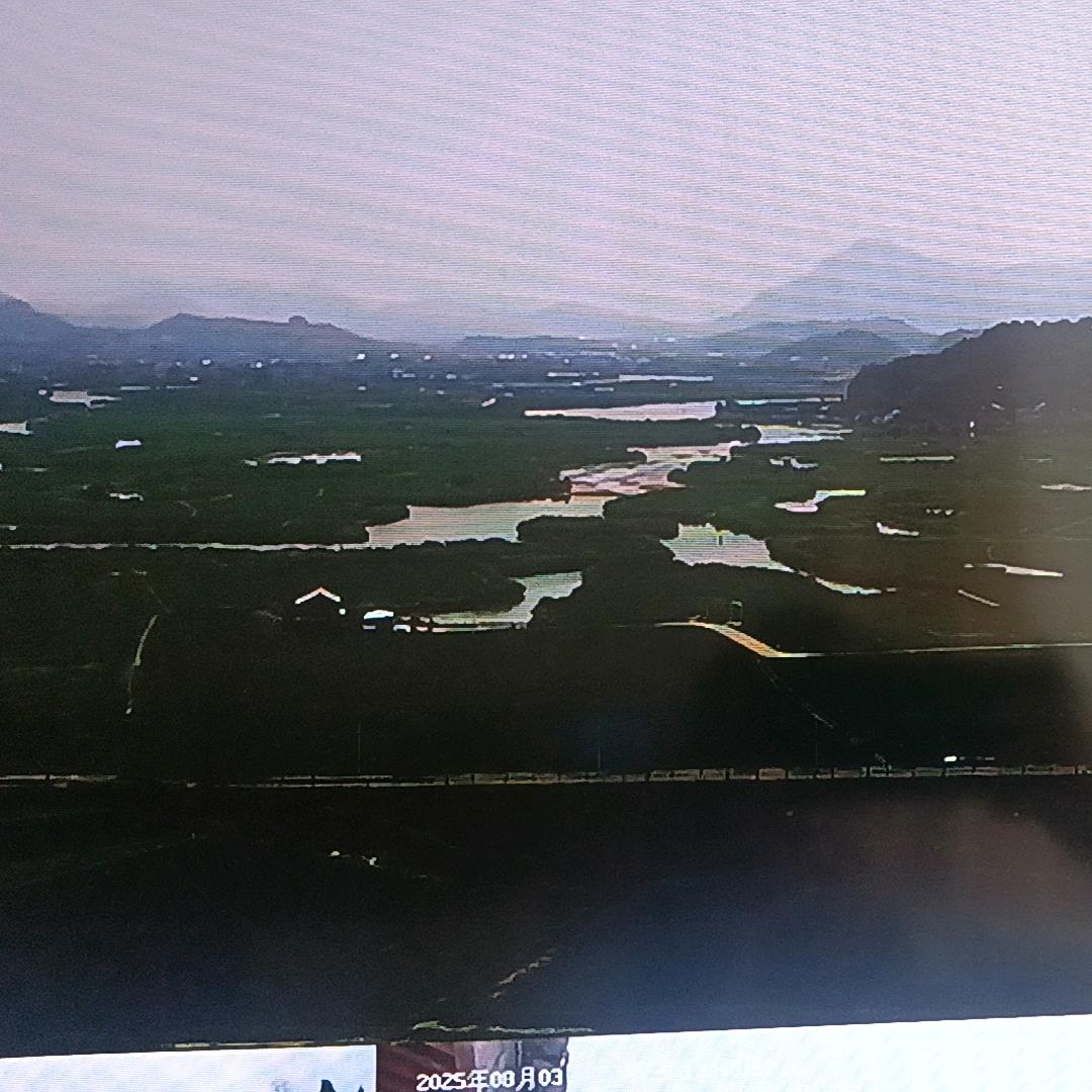 东山再起