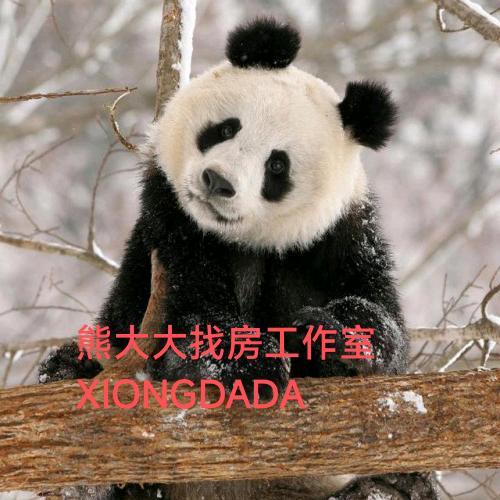 熊大大找房工作室