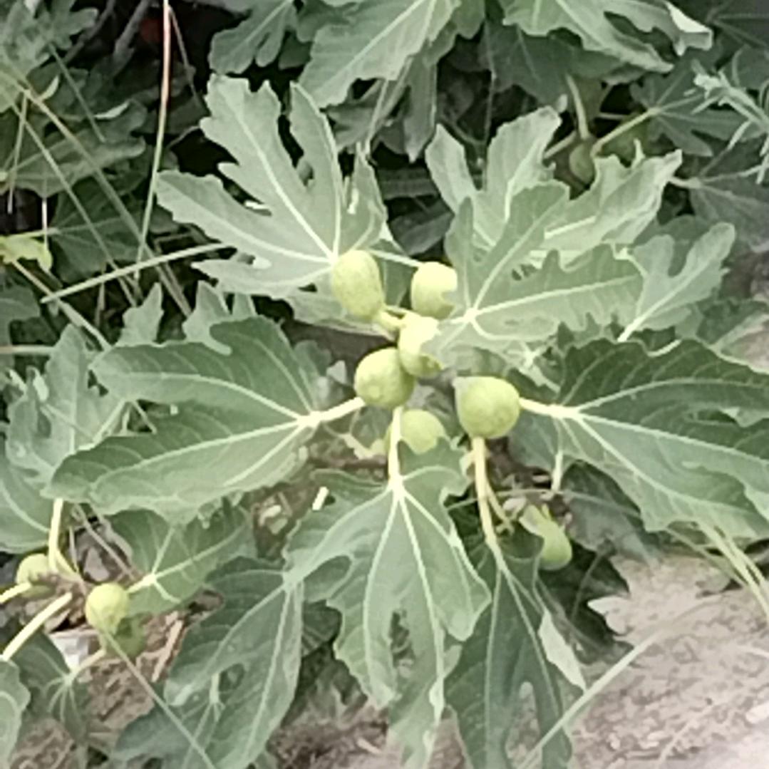 天天好心情71019