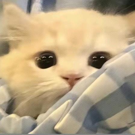莫惜