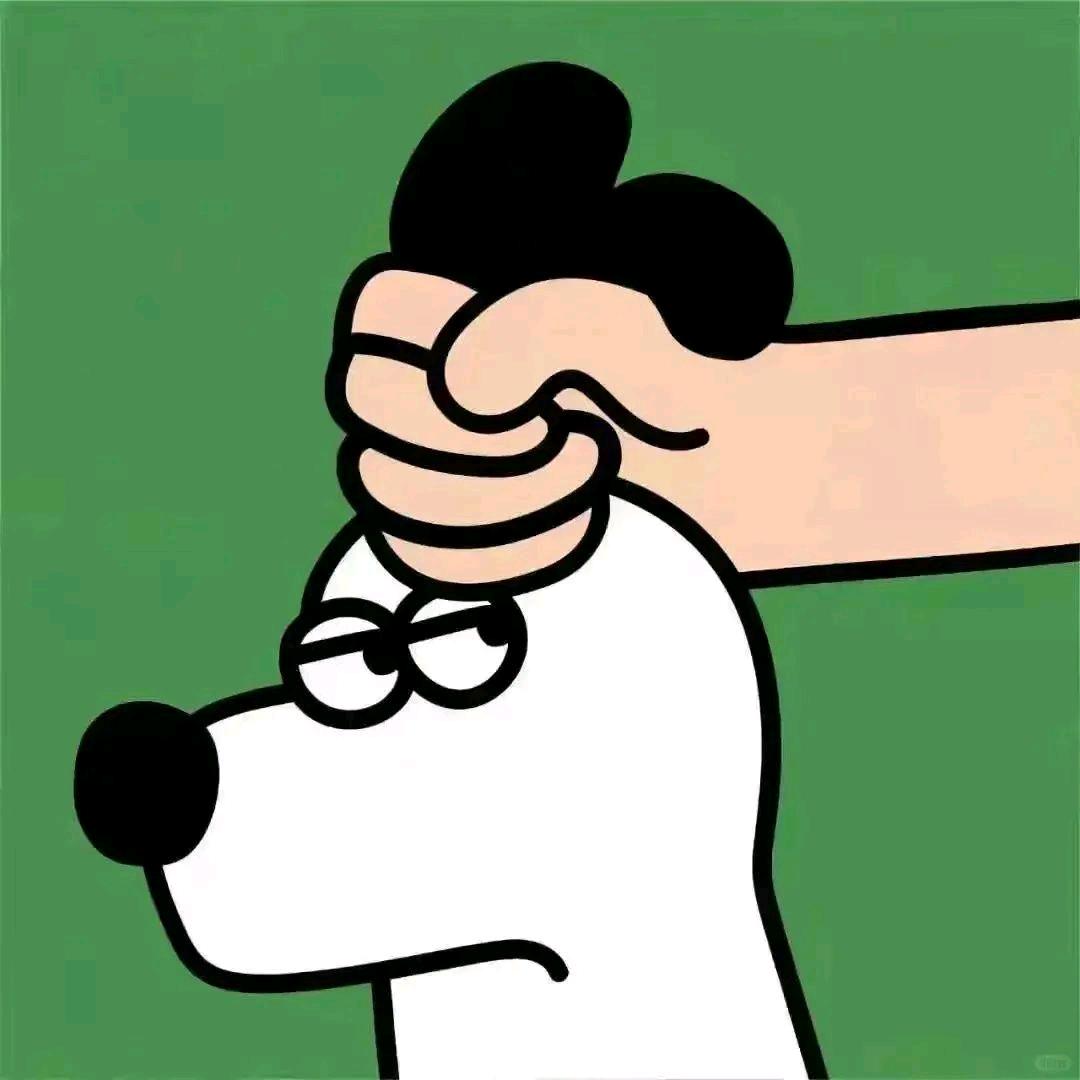 番茄你个西红柿