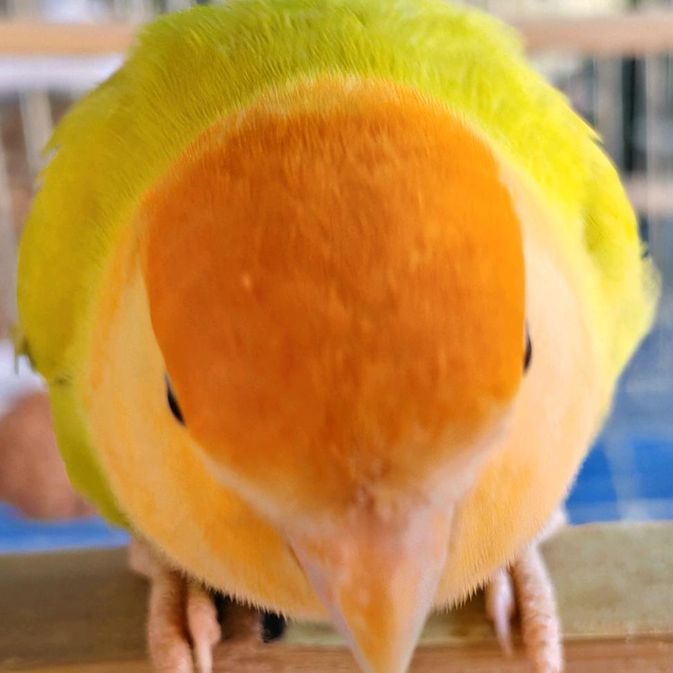 🌈爱钓小白条🌈