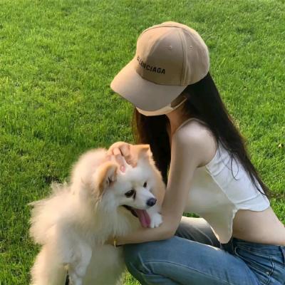 苍猫精选