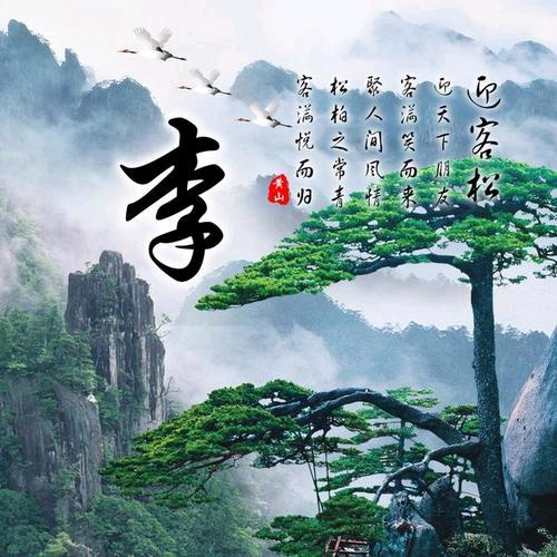 ✨往事✨✨如风✨