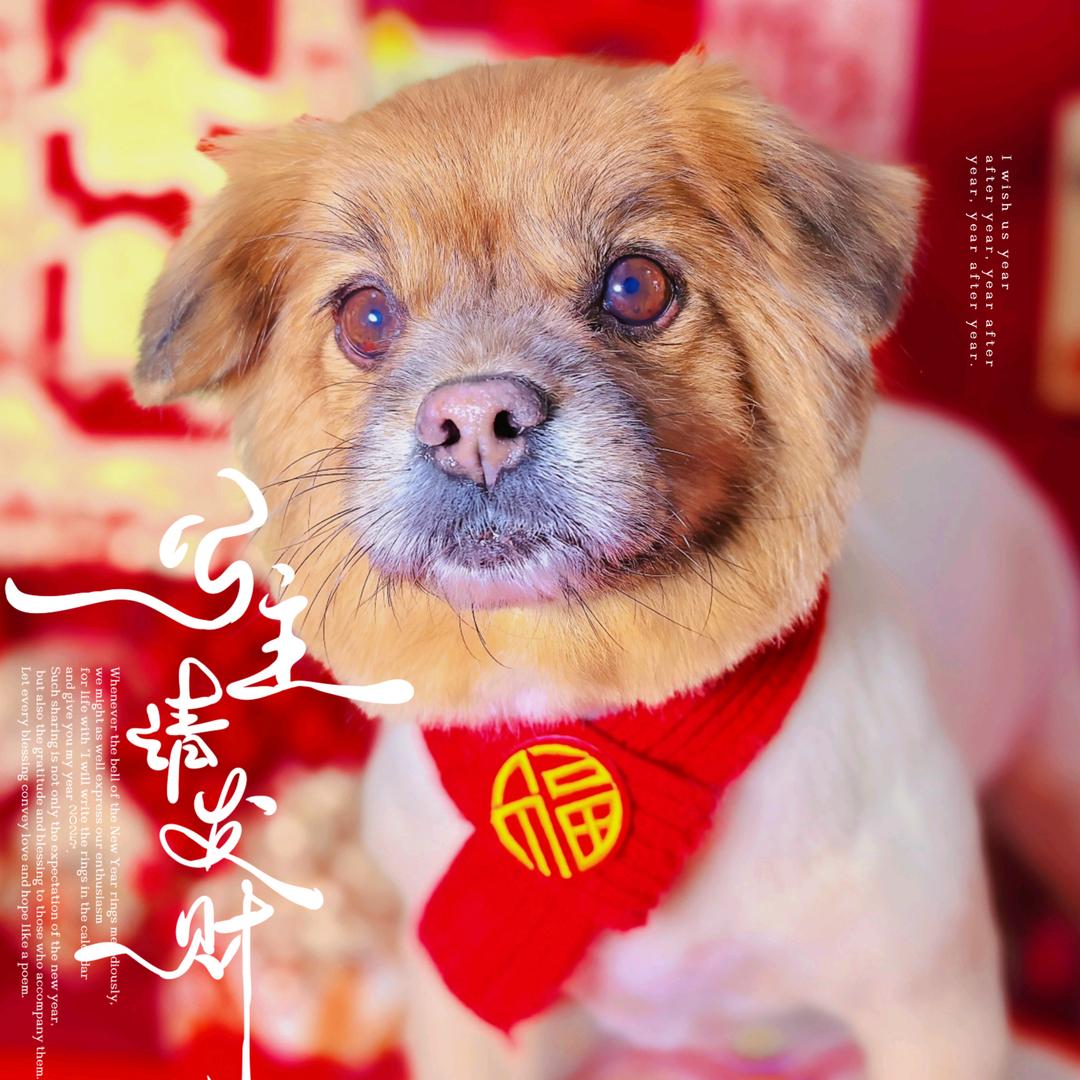 📚 课代表 - 🖋毛了豆了爱了 📬